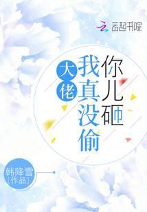 大佬我没偷你儿子砸