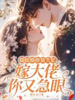 嫁大佬你又急眼 易小文