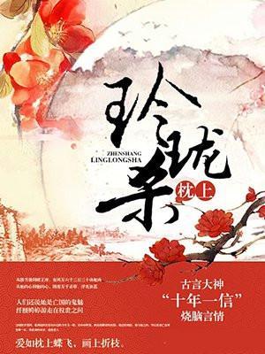 玲珑枕上杀书评