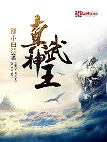 异世侠医行全文阅读