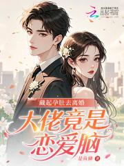 藏起三个月孕肚离婚的