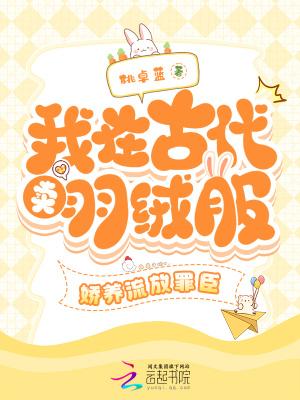 我在古代卖羽绒服