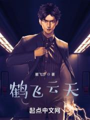 云鹤飞天的意思