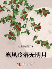 寒风冷冷吹孤星伴寒月歌名叫什么