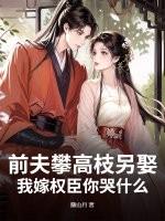 权臣前夫高攀不起