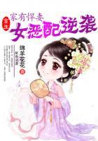 家有悍妻穿越女强