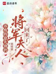 将军夫人养儿日常