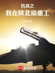 抗战之我是军工专家