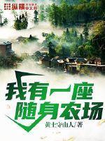我有一座随身农场赵新宇txt