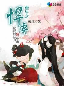 重生之悍妻当道