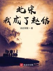 穿越成南宋赵构