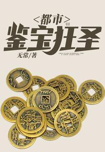 都市鉴宝狂圣TXT奇书网