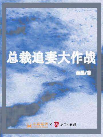 总裁追妻实录