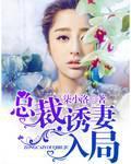 总裁诱妻入怀全本免费阅读
