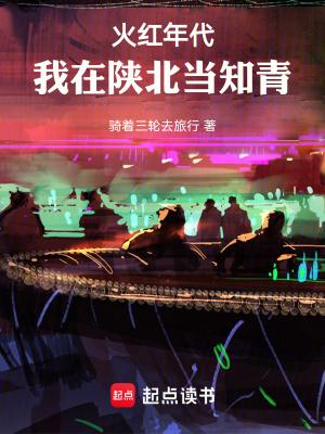 火红年代我在陕北当知青笔趣阁