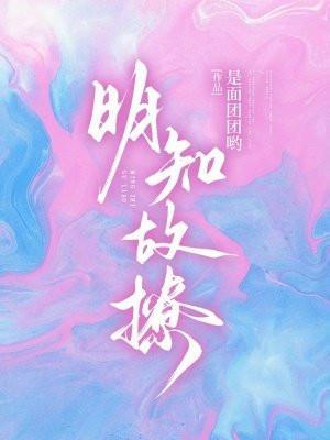 明知故问的全部