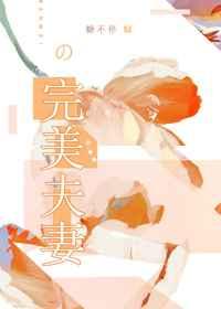 完美夫妻电影免费观看