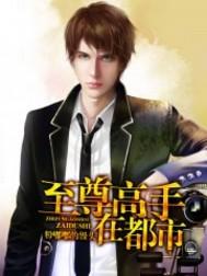至尊高手在都市全文免费阅读