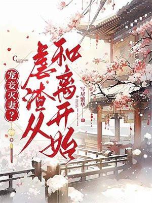 宠妾灭妻?虐渣从和离开始