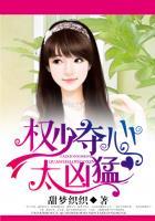 逃爱少夫人霸道首席迫妻108计