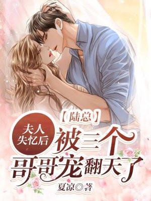 陆总夫人的小马甲又掉了免费阅读