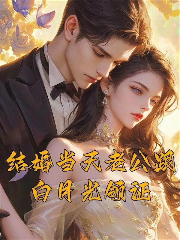 结婚当天老公跟白月光领证免费阅读