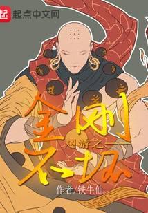 网游之金刚不坏TXT