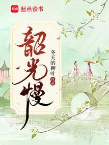 韶光慢 冬天的柳叶