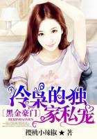 黑金豪门冷枭的独家私宠讲了什么