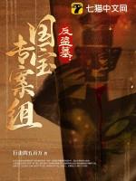 反盗墓是什么意思