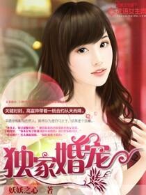 独家宠婚免费全文