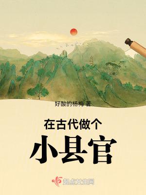 在古代做个小县官笔趣阁