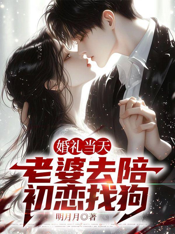 婚礼当天老婆陪初恋找狗的情景表现