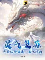 灵气复苏开局获得剑仙传承