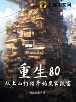 重生80从上山打猎开始发家致富