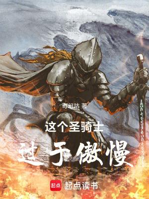 这个圣骑士有点奇怪