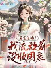 流放抄家的言情哪些