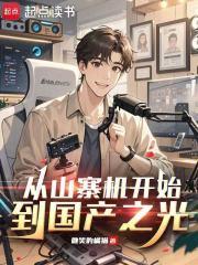 从山寨机开始到国产之光