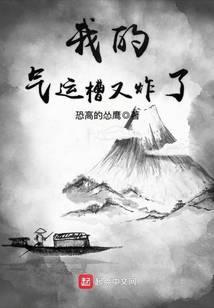 我的气运槽又炸了 恐高的怂鹰