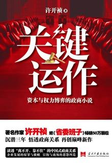 关键运作在线阅读