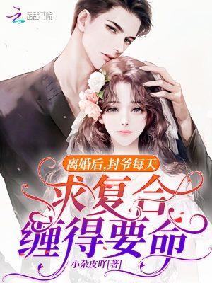 封少离婚请放手免费阅读全文