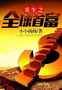 重生之全球首富阅读
