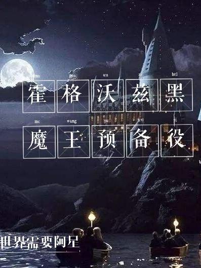 霍格沃兹的黑魔王教授