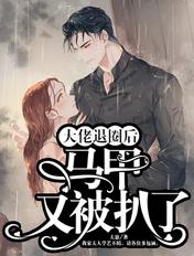 书名大佬退圈后马甲又被扒了