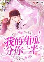 我的甜甜圈先生