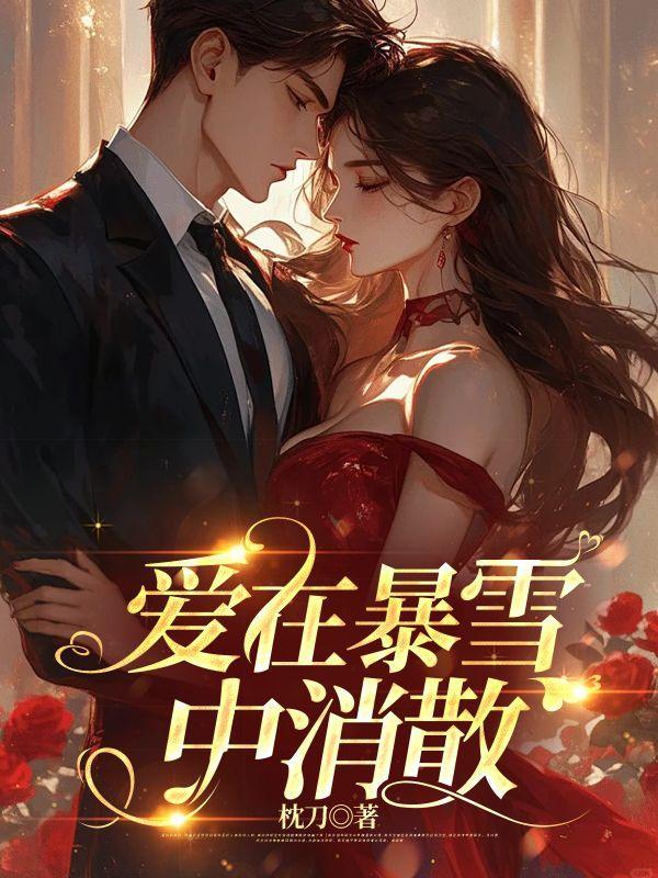 爱在暴雪中消散是什么歌