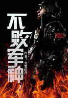 不败军神阅读