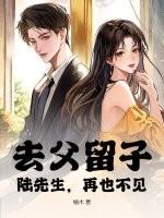 去父留子的孩子合法吗