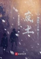 辐射4废土求生指南有几本