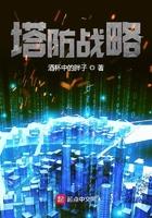 塔防战略 txtbook